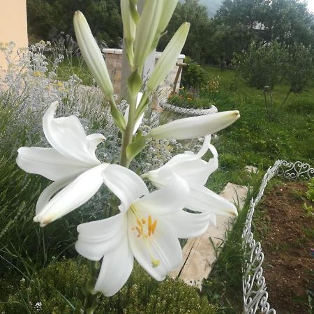 Castello Flower Apartment Каштела Экстерьер фото