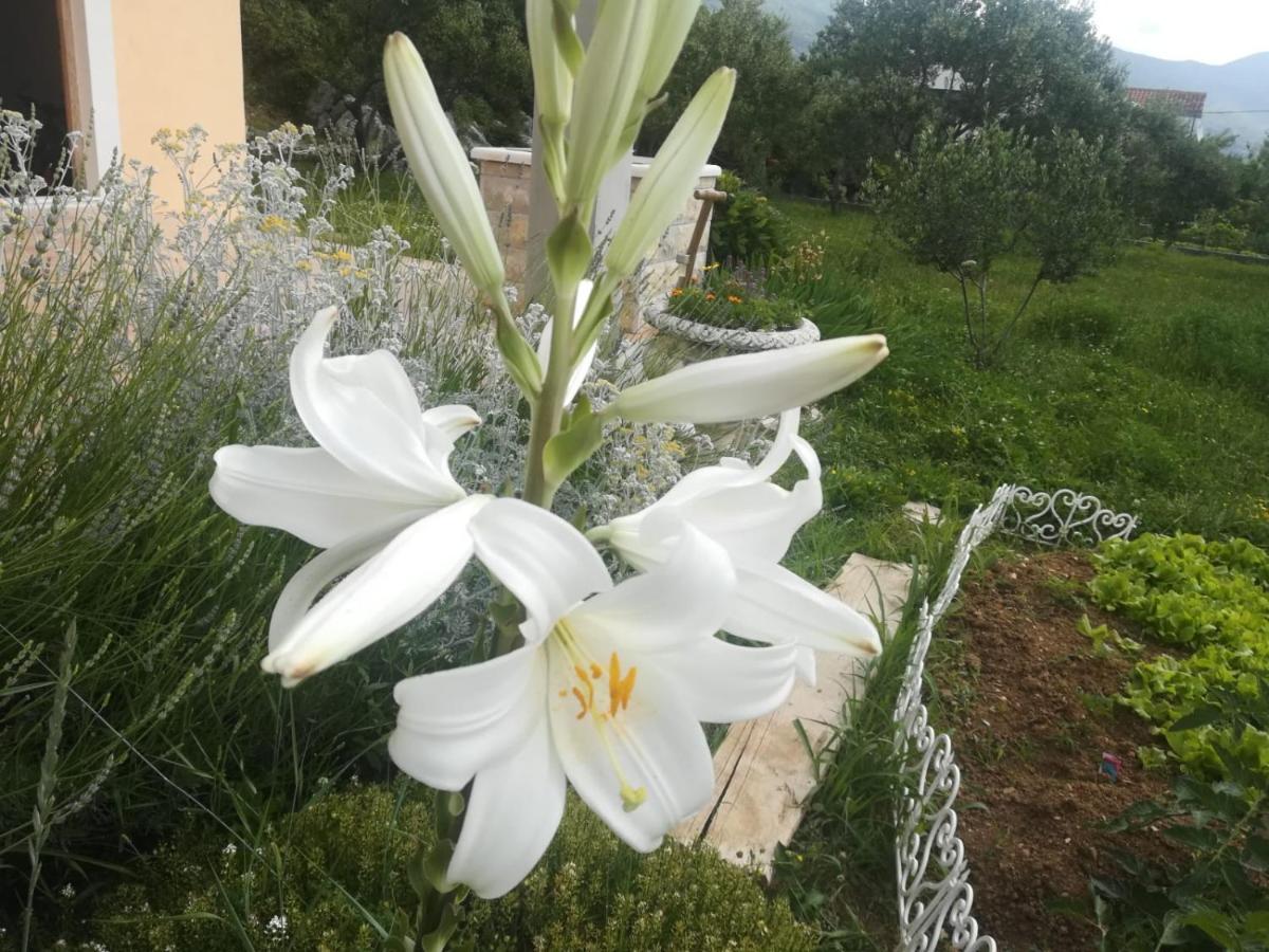 Castello Flower Apartment Каштела Экстерьер фото